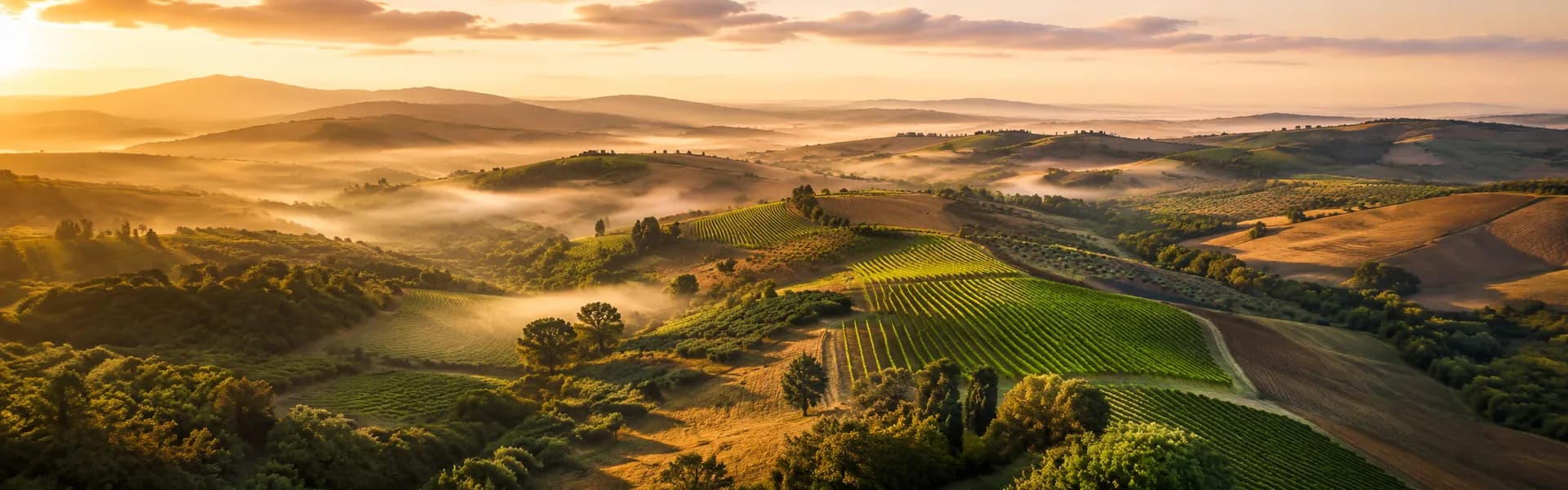 Prodotti biologici italiani