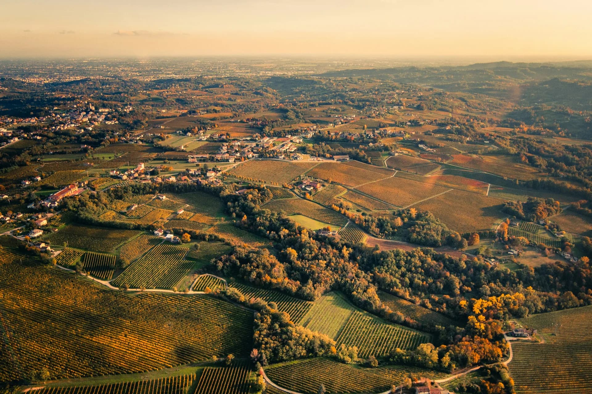 Produttori biologici in Veneto