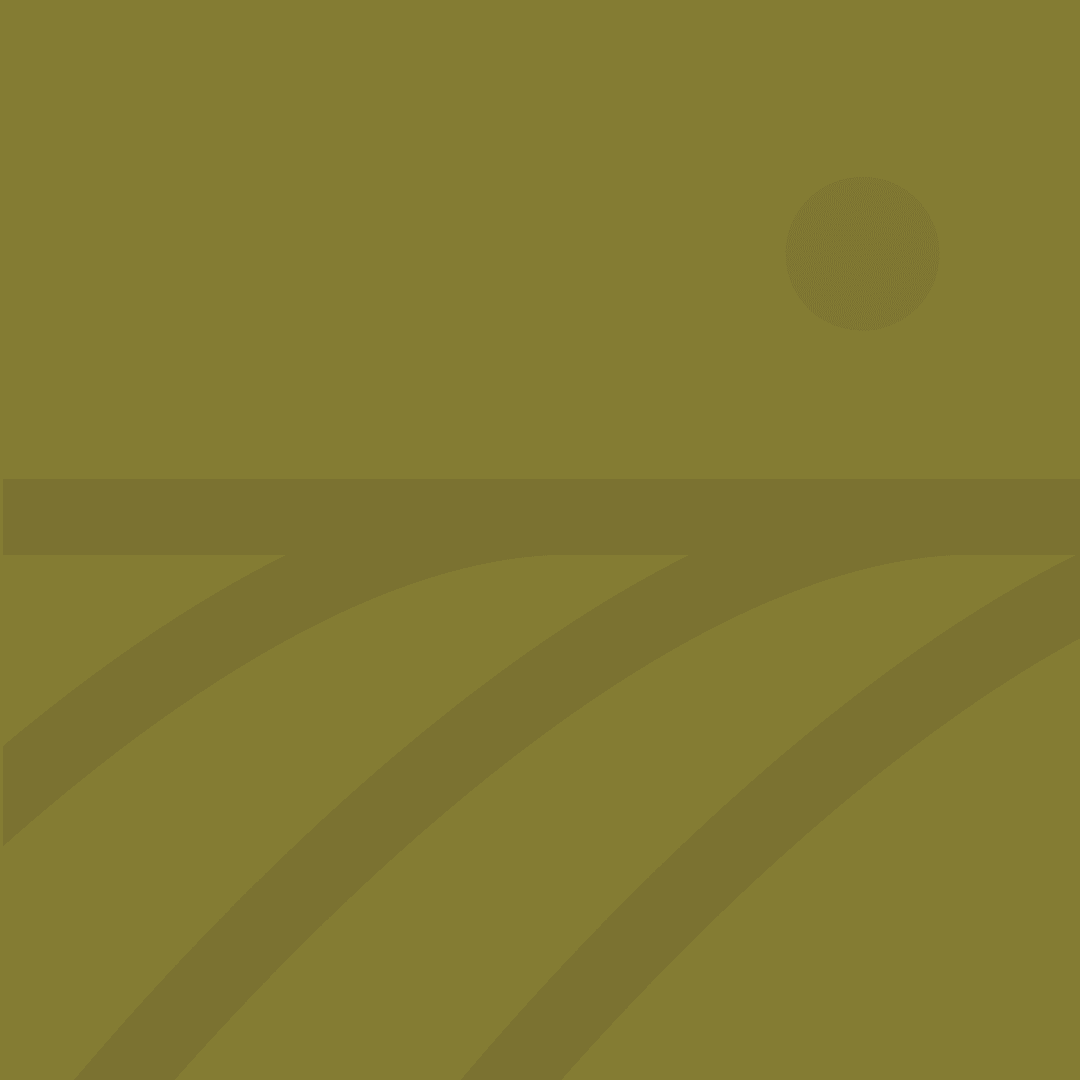 Blog Contado BIO