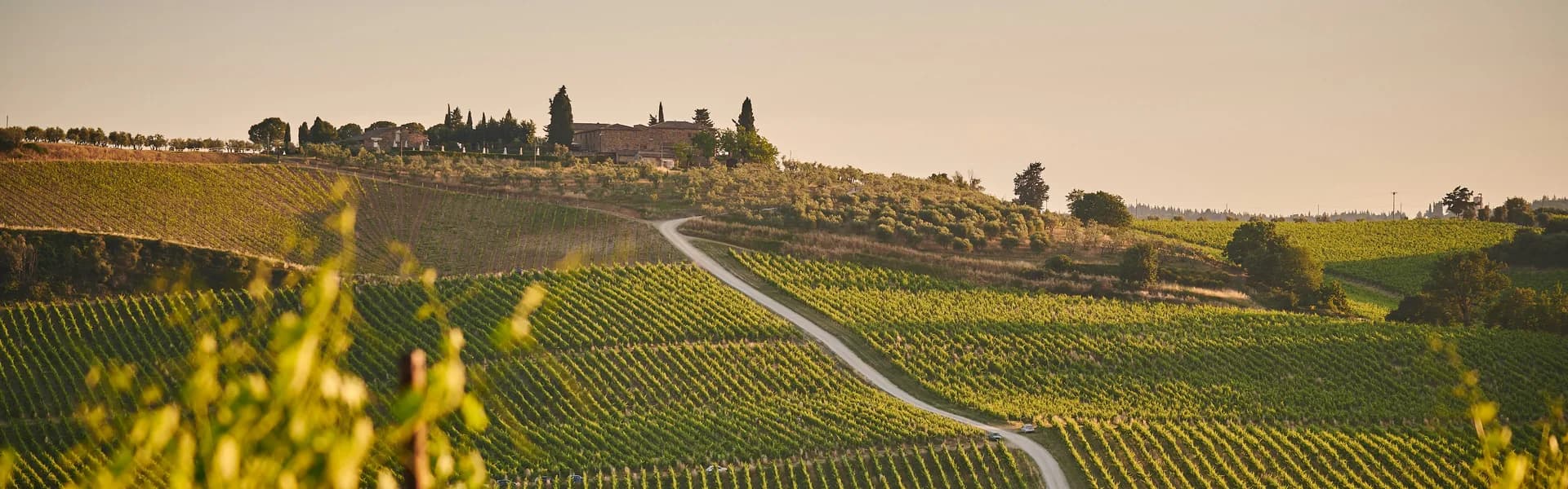 Paesaggio biologico in Toscana